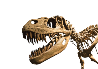 Illustration for article titled 10 mitos sobre los dinosaurios que son completamente falsos